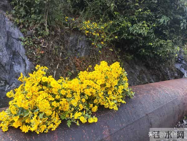 男人，别瞎摸了，女人身上这3个“一碰就炸的开关”，错了就出局