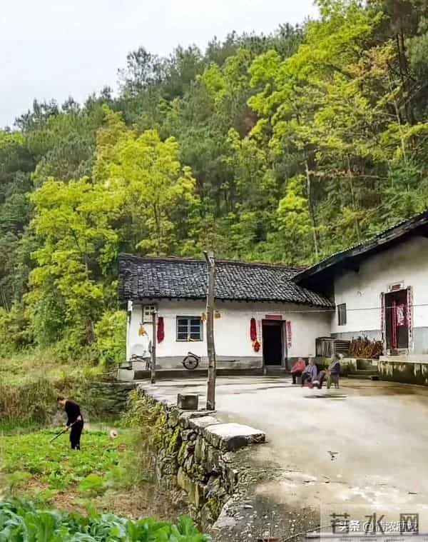 我最佩服我奶奶，她虽然不识字，却把三个儿媳治的服服帖帖