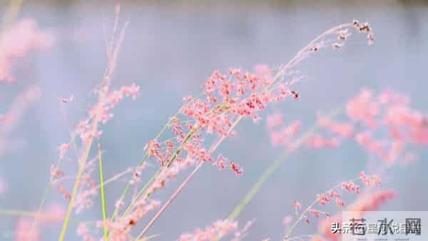 与天蝎座步调同频的星座