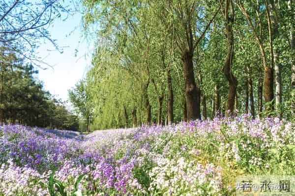 一个很厉害的本事:就是跟任何人相处,都大大方方的秘诀就一个