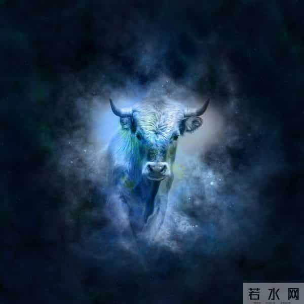 金牛座别硬扛了！年底转运逆袭，职场感情全开花