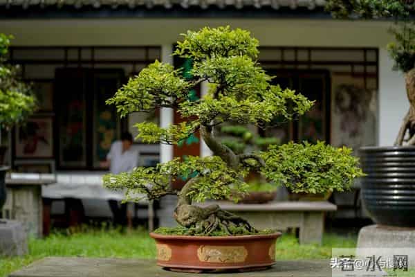 善意提醒-“意淫”也能把一个人活活“害死”