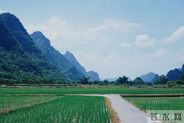 七十岁后，一定要坚持低欲！记住12句口诀，福气自然来