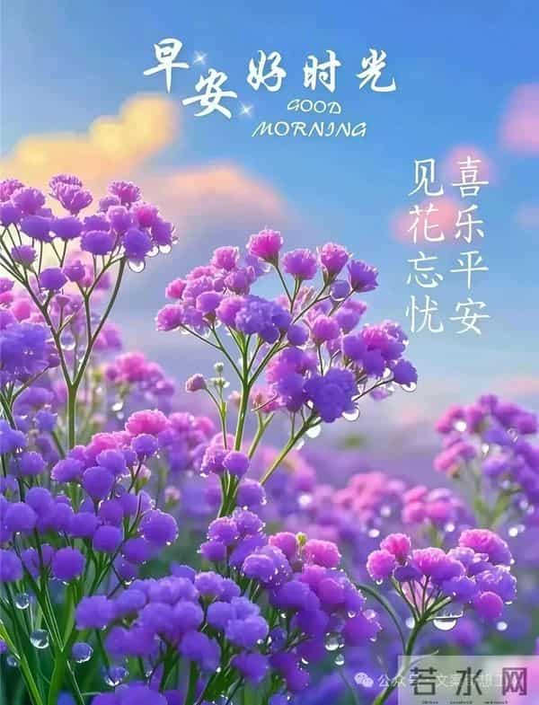 早安美图分享：愿你好运常在，所遇之事皆可化解
