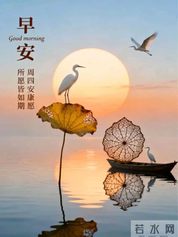 2025年12月11日周四早上好 早上好温馨问候语 今日早安祝福精美图片
