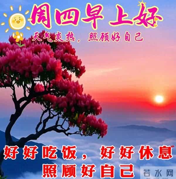 星期四非常漂亮的早上好问候语、图片 周四早安问候祝福语温馨句子