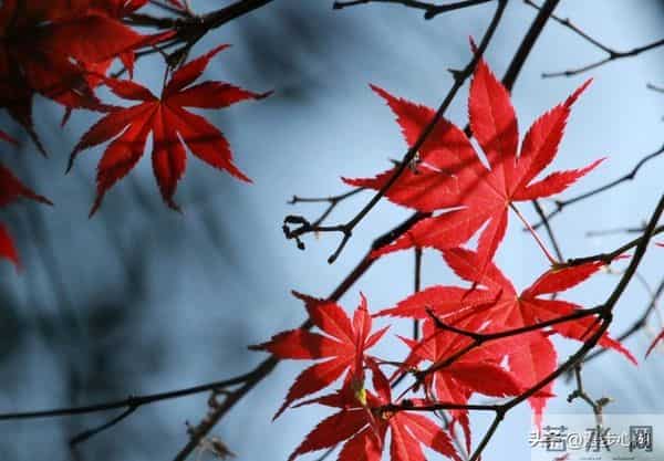 两性交往，刺激女人荷尔蒙的6个“心”开关，让她彻底为你折服！