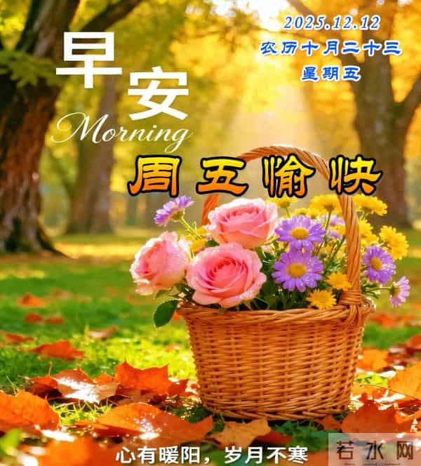 周五早安美图-允许一切如其所是，将心放宽，方能盛放更多宁静