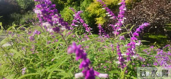 人老莫贪，过了六十，能混到这几点，就算有福之人，该知足了