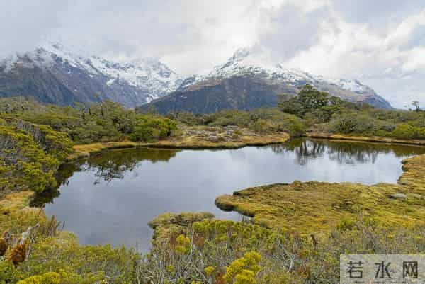 老了以后，一个人怎么办？答案来了