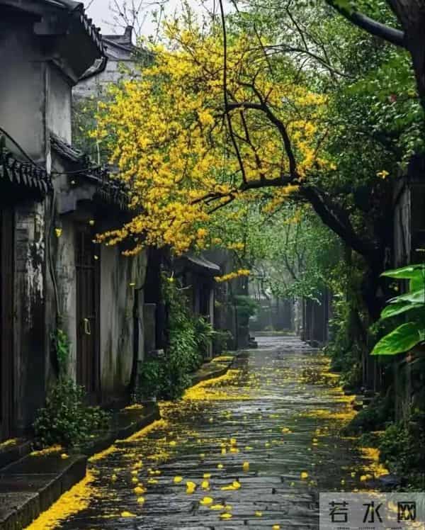 人总要死,实际上多少年后,多活几年少活几年有区别吗?