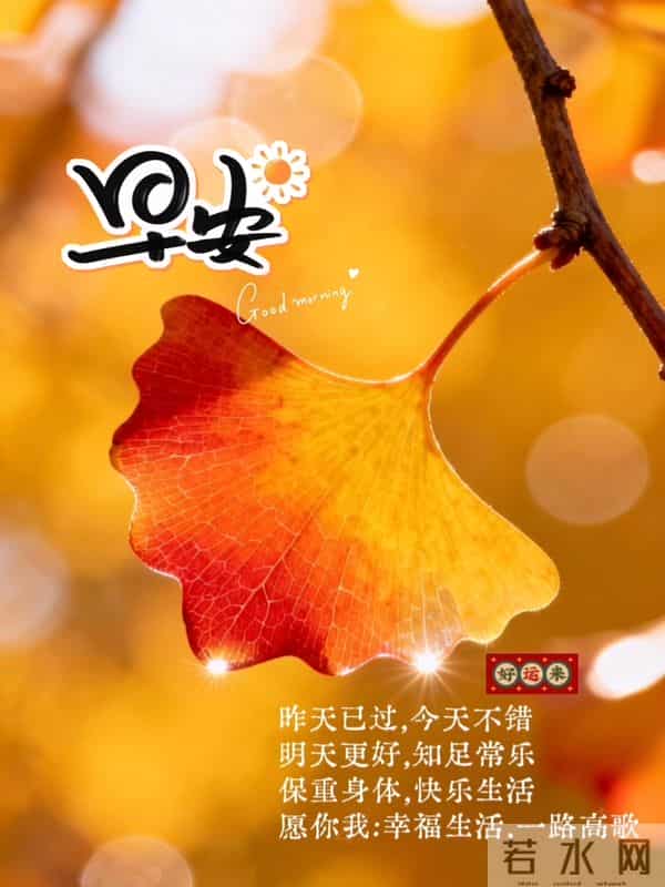 早安祝福美图 - 走过秋，迎来冬，轻声问候里，藏着最温暖的祝福