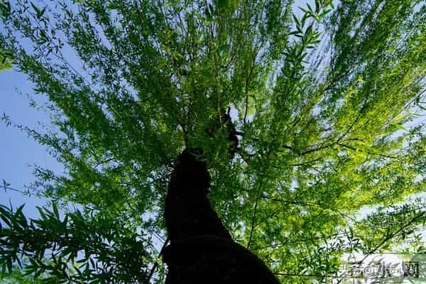 男人触碰女人这个地方，比亲吻拥抱还让她心动，50岁后越碰越恩爱