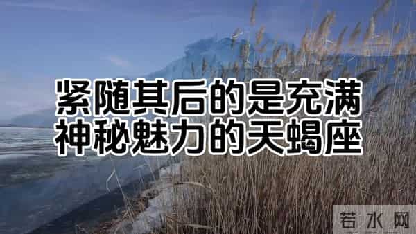 最容易出大老板的三个星座