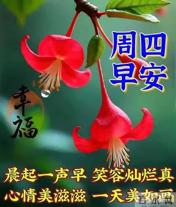 2025年12月11日早安问候：用温度融化冬日的寒