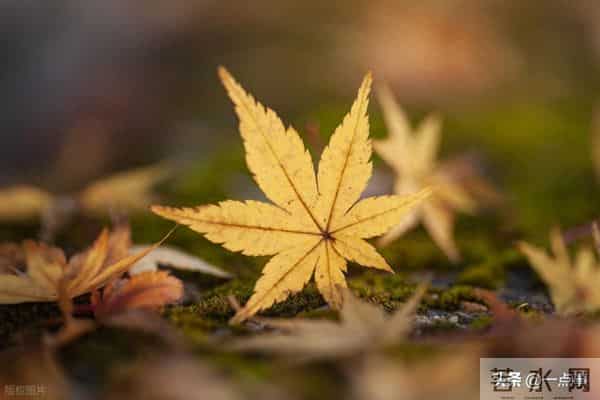 一个52岁女人的心里话：夫妻关系再好，女人也不要把丈夫当成亲人