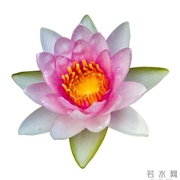 这样联系你的人,八成是想你了