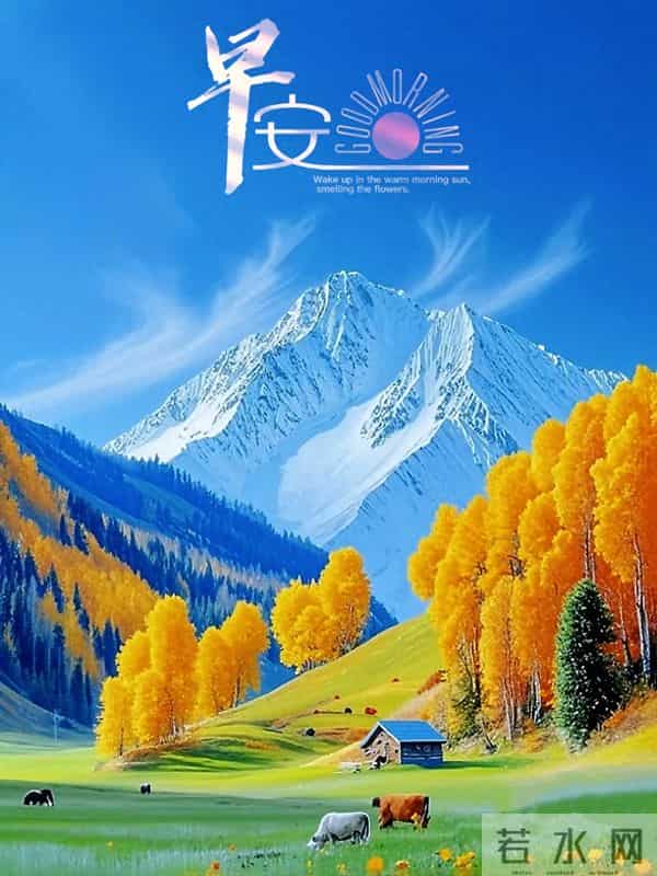 8张最新精美早安图片，冬意渐浓岁末至，愿您平安康健、年末顺遂~