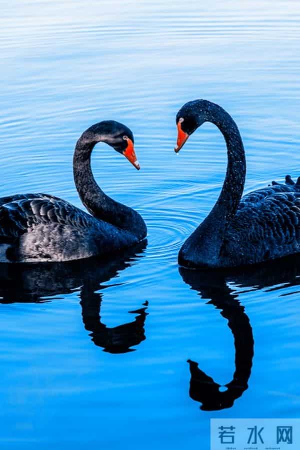 女人最舍不得断掉的情人，往往给过她这几种感觉，很准，别不信！