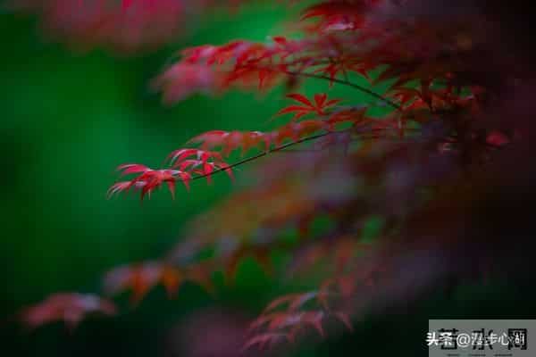 两性交往，刺激女人荷尔蒙的6个“心”开关，让她彻底为你折服！