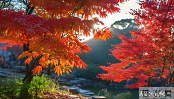 我同居过3位女性，发现女性45岁后找伴侣主要有3个动因