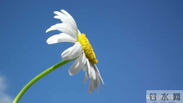 12月11日星期四，亥猪要“笑醒”了，你将会遇见你最大的2位贵人