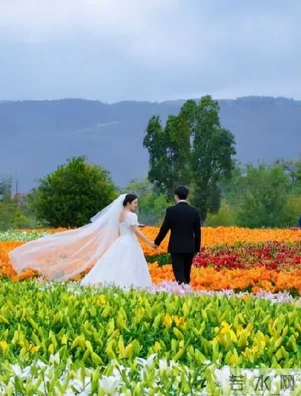 弥勒宇星公司送钻石了！名额有限～