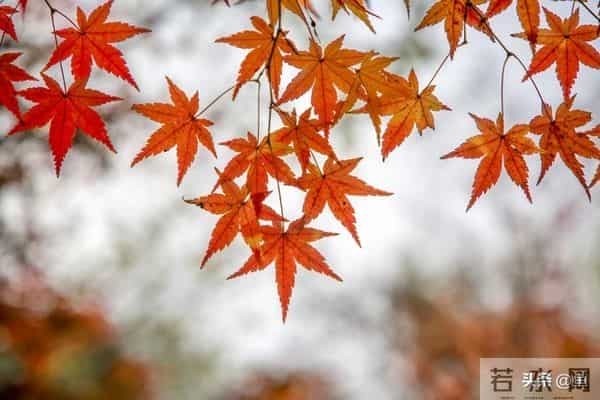 退休清华教授十条人生忠告:70岁后,一定要守住自己的幸福底线