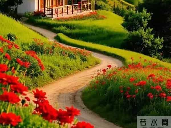 人到晚年：如有异性靠近，不是桃花开，是你心里开了光