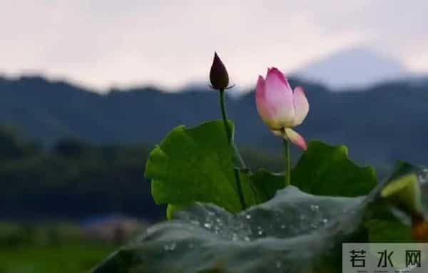 当你感到不顺时，一定要主动丢掉这三样东西