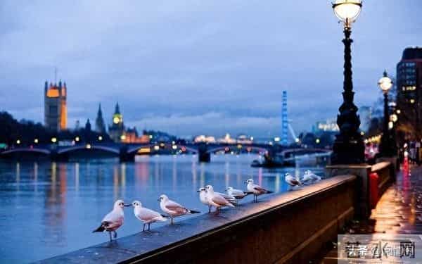 人生-肉体安康，灵魂轻盈，便是人间好光景