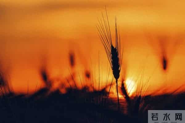 最近很火的朋友圈文案