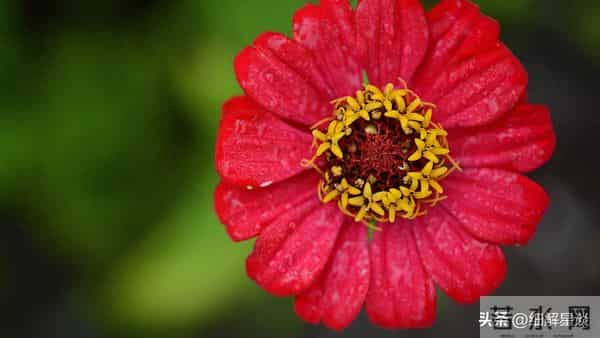 12月11日星期四，午马要“笑醒”了，你将会遇见你最大的2位贵人