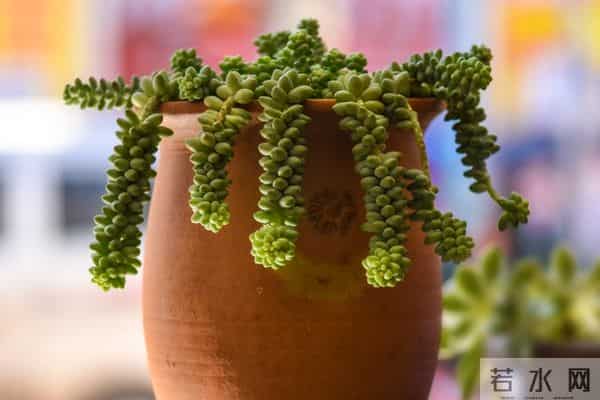 今年最后二十一天，好运开挂！ 这些星座财富积累加速，余额暴涨