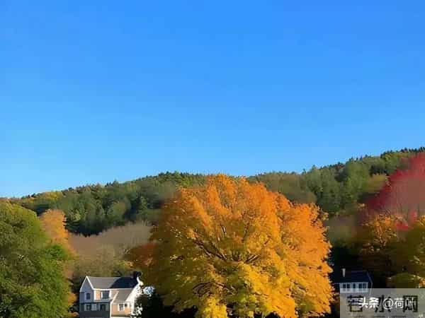 女人主动带你去这些地方，明摆着动情了，男人拿不下说明情商太低