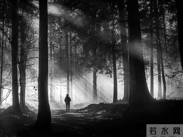 遇到坑你、害你、让你痛苦的人，别急着去计较，自有天道来评判