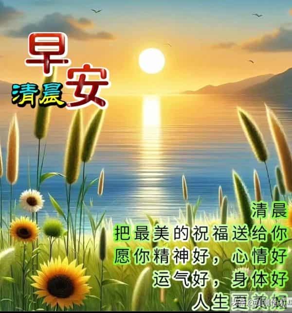 2025.12.12号周五早安祝福美图