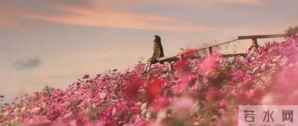 完结-婆婆总说自己是男人婆，那我就许愿，让她变成一个真男人