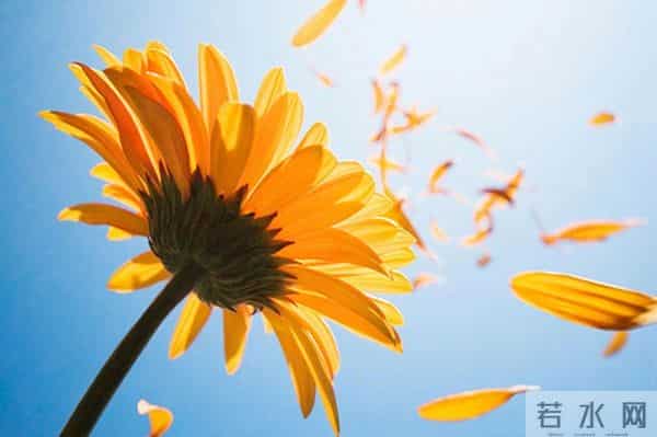 当你感到不顺时，一定要主动丢掉这三样东西