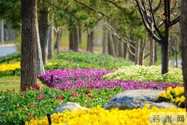 惊人的因果关系：男女之间，一旦发生了暧昧关系，一辈子也忘不了