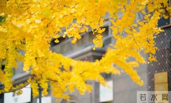 老了才明白：父母一旦超过75，立刻停止3种行为，否则晚景会凄凉