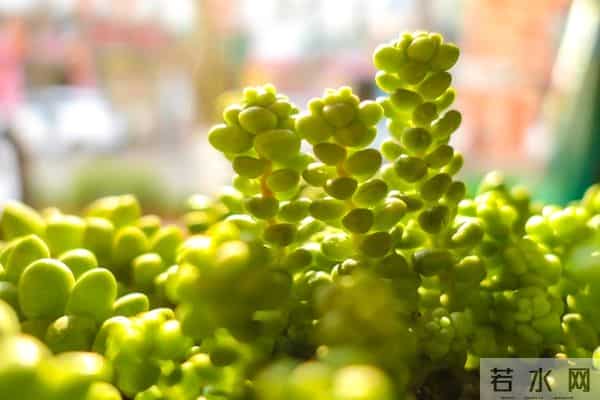 今年最后二十一天，好运开挂！ 这些星座财富积累加速，余额暴涨