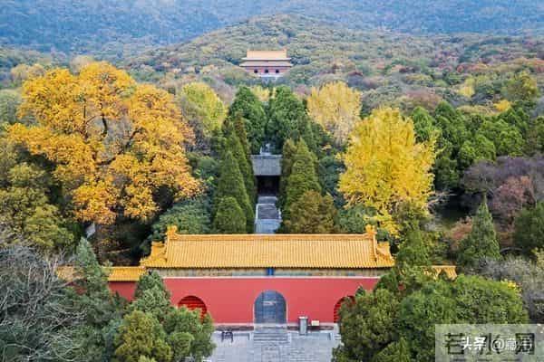 幸存者宣言——致所有在血脉中听见雷声的人