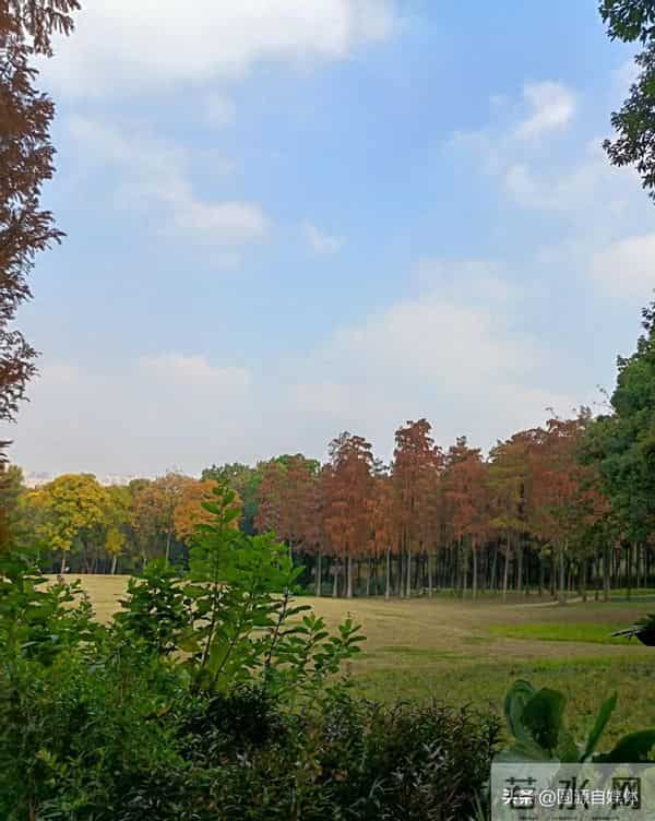 夫妻俩发生激烈争吵，妻子生气跑回娘家，岳父一通电话让男子懵了