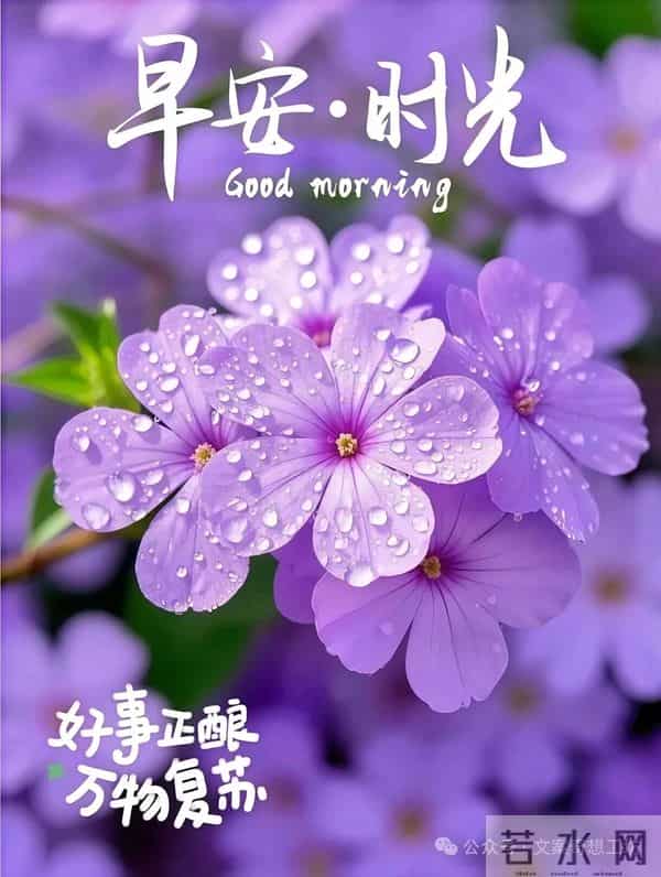 早安美图分享：愿你好运常在，所遇之事皆可化解