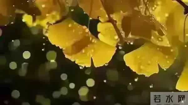 发现怪现象：越是独来独往没有朋友不合群的人，人品往往越没问题