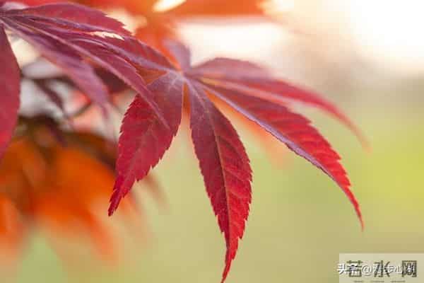 两性交往，刺激女人荷尔蒙的6个“心”开关，让她彻底为你折服！