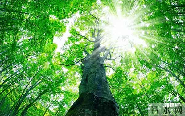 为什么总有人见不得别人好？背后原因没那么简单