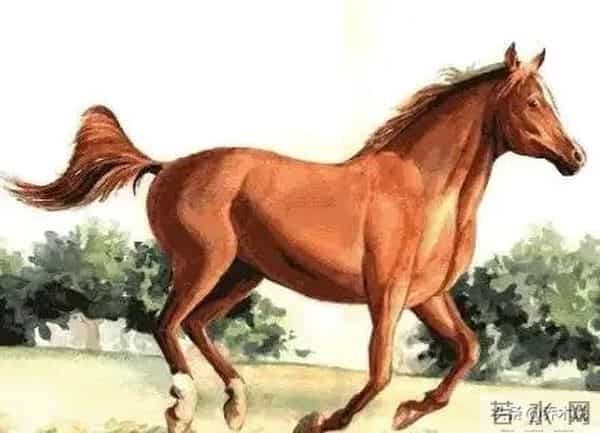 属马人：明年你将有喜事咯，明年开始，两桩喜事找上门，见机行事