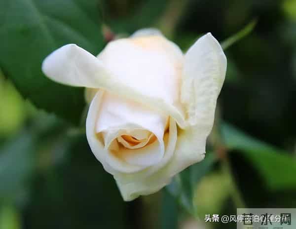 夫妻之间的人性潜规则，一旦被忽视：婚姻就会“出问题”！别大意